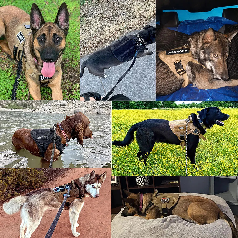 Large Dog Harness and Leash Set – Adjustable Training Vest for German Shepherds, Malinois & Large Breeds
