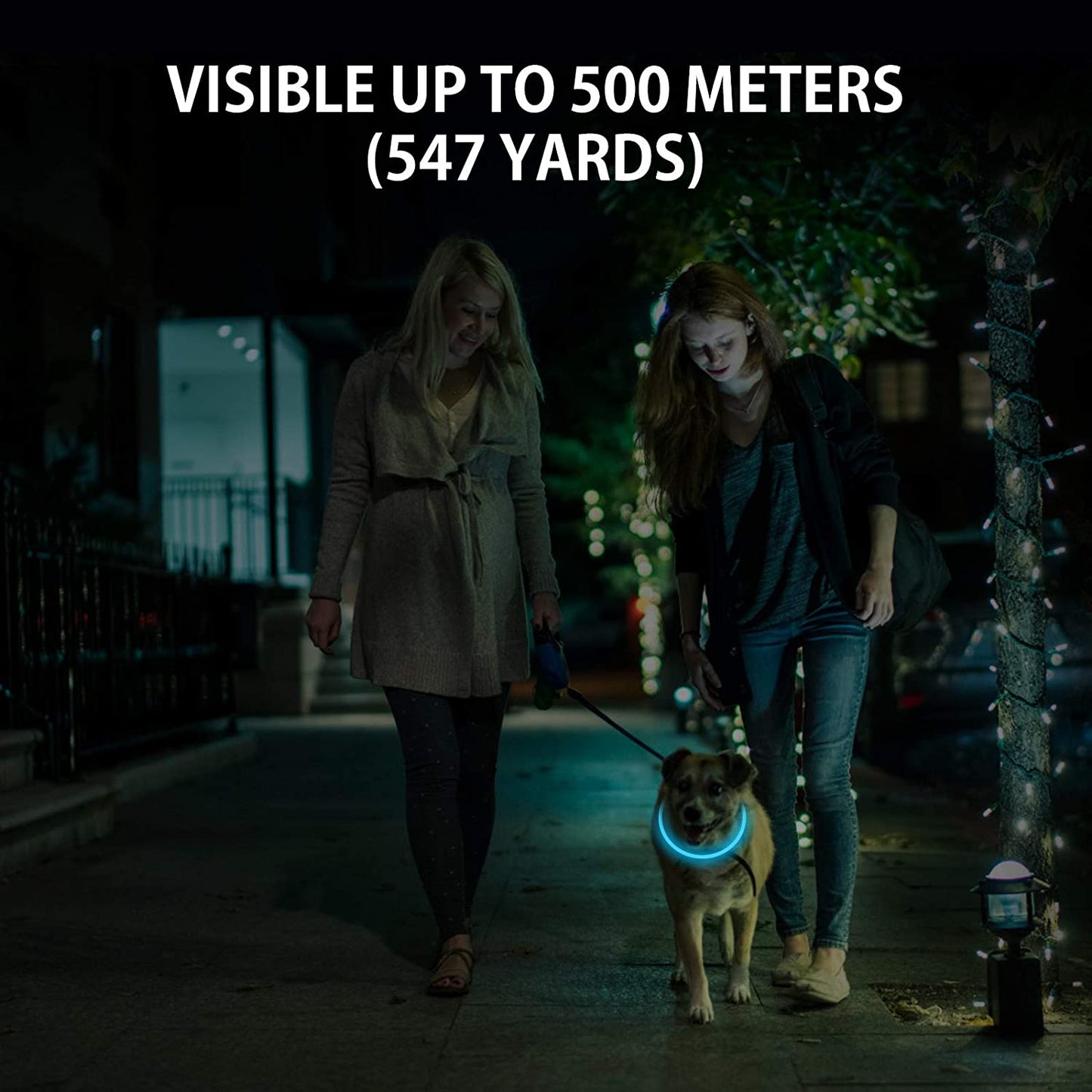 2-Pack LED Dog Collar, Light up Dog Collars,Rechargeable Dog Lights for Night Walking,Universal, Reusable Safety Necklace for Small Medium Large Dogs Green&Blue