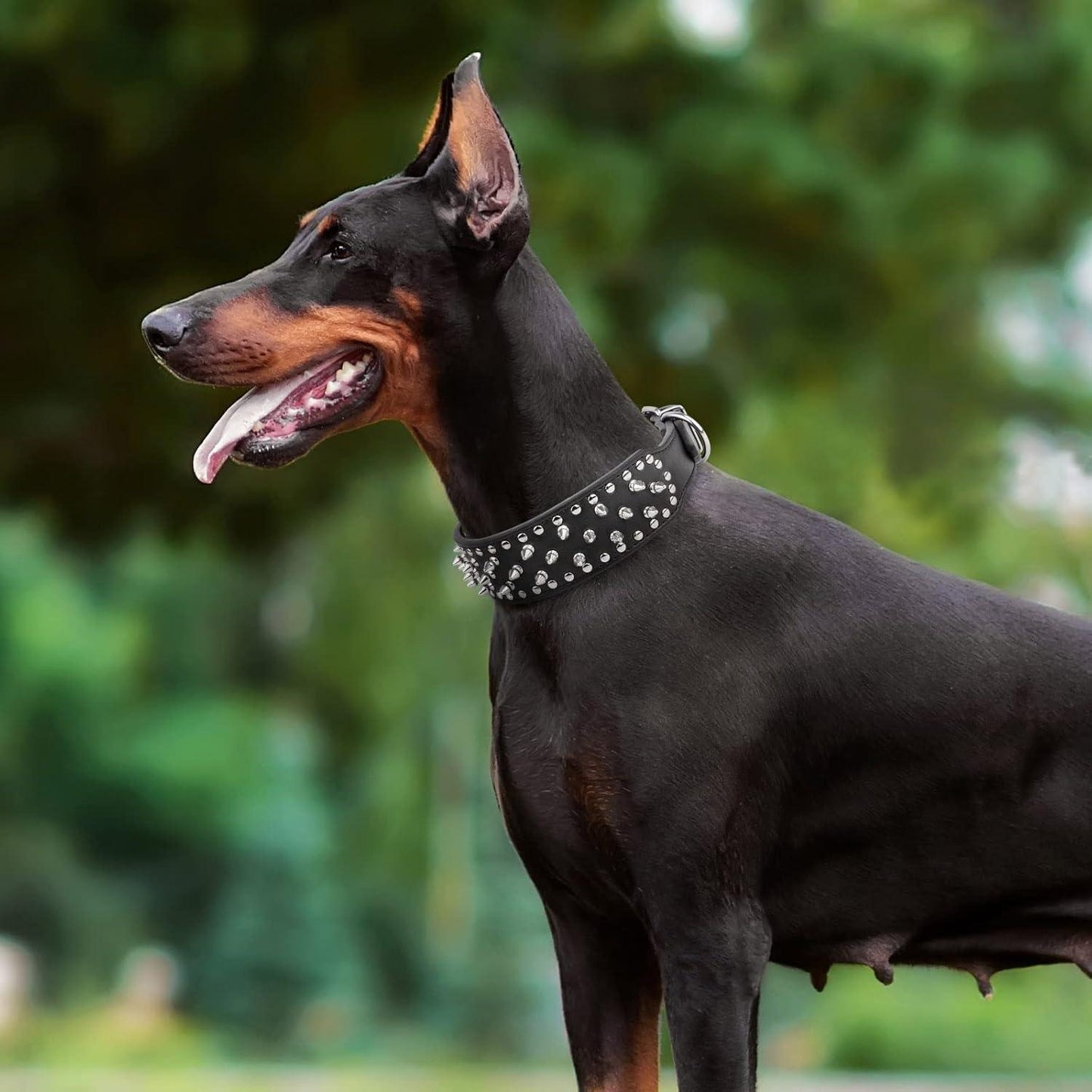 Adjustable Wide Spiked Dog Collar, Mushroom Rivet PU Leather Cat Dog Collars, Durable Spike Studded Pet Collar for Small Medium Large Breed, Pitbull Mastiff Bulldog Pugs Husky Rottweiler Black