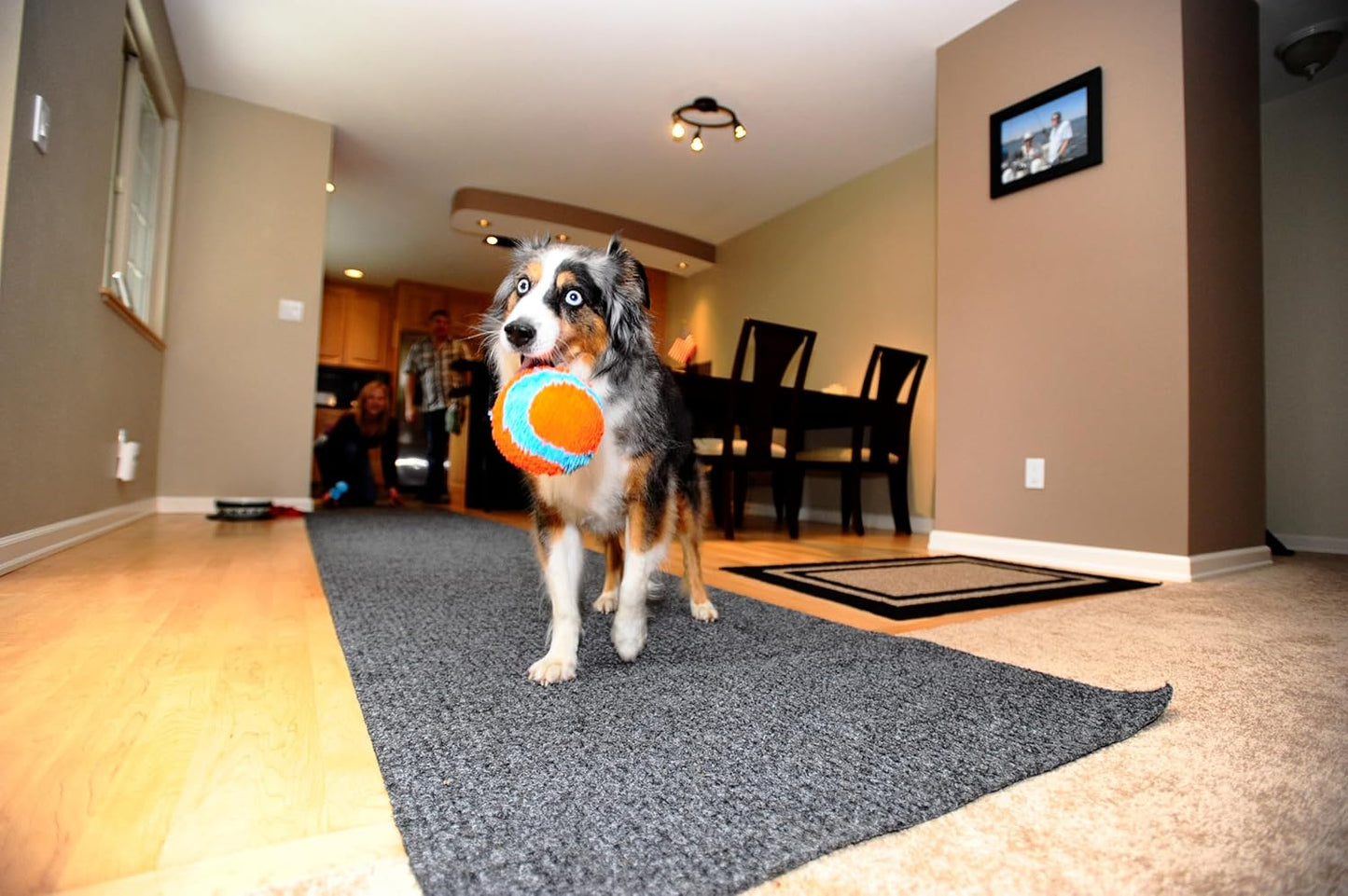 Indoor Fetch Ball – 4.75-Inch Interactive Dog Toy for Boredom & Play