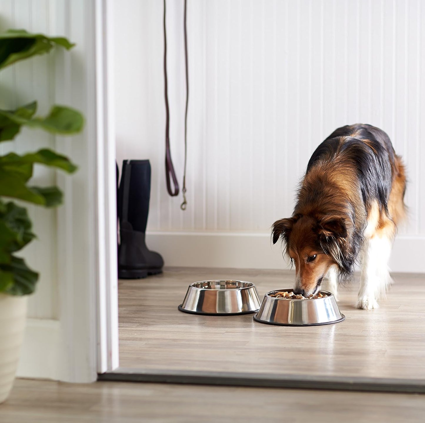 Stainless Steel Non-Skid Pet Dog Water and Food Bowl, 2-Pack (10 X 2.8 Inches), Each Holds up to 38Oz