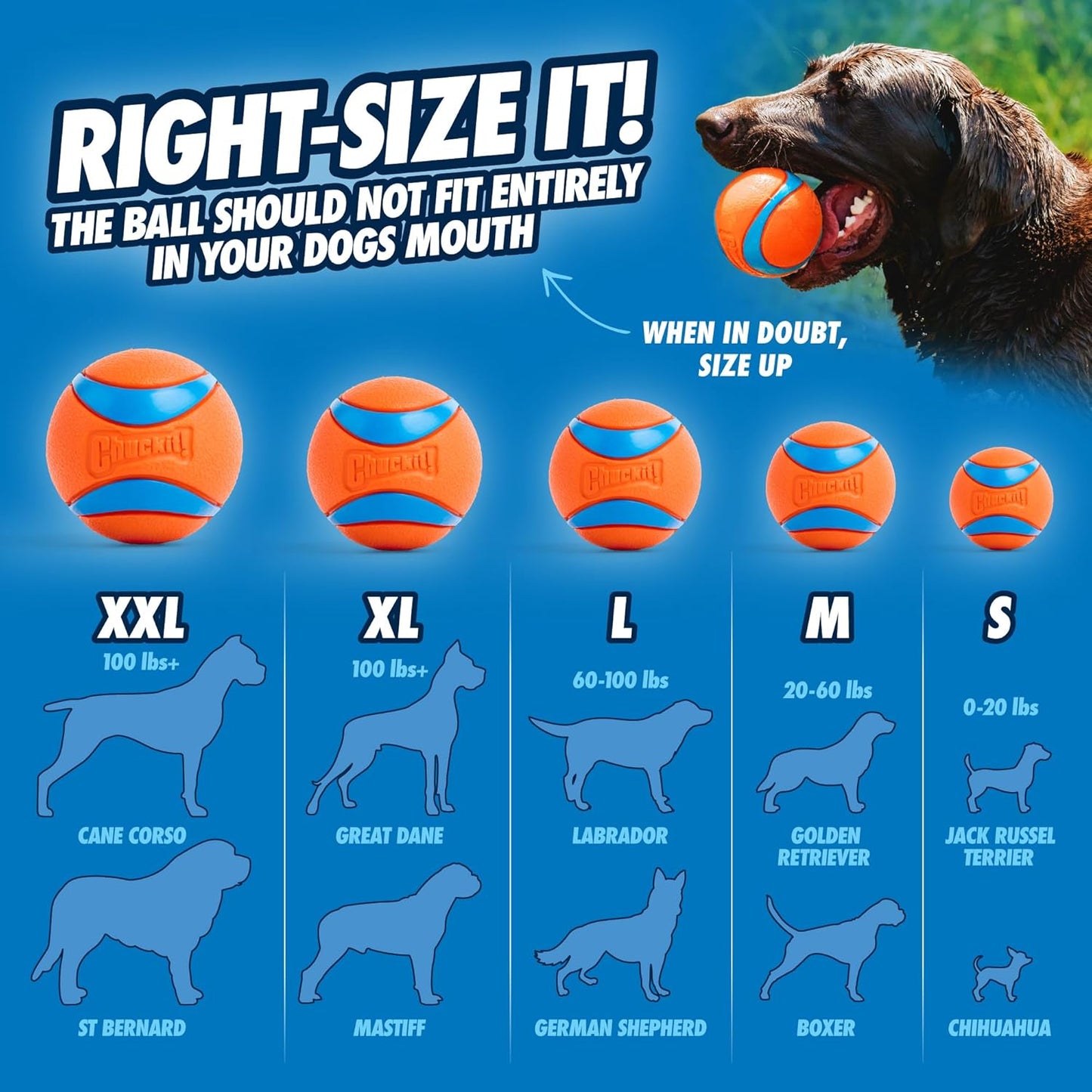 Ultra Ball Dog Toy – Medium 2.5-Inch Fetch Balls for Active Dogs (Pack of 2)