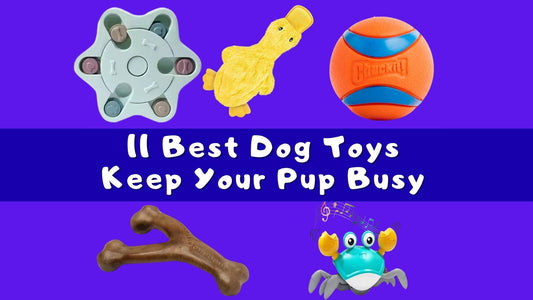 11 Best Dog Toys to Keep Your Pup Busy While You Work from Home