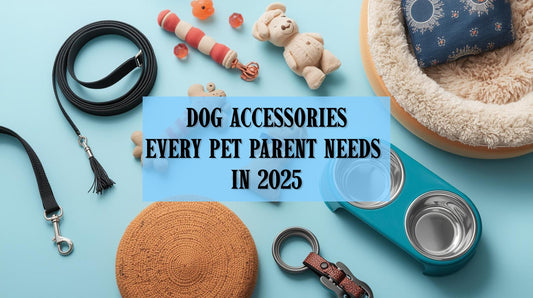 Dog Accessories Every Pet Parent Needs in 2025