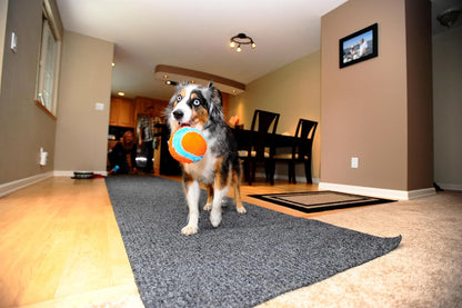 Indoor Fetch Ball – 4.75-Inch Interactive Dog Toy for Boredom & Play