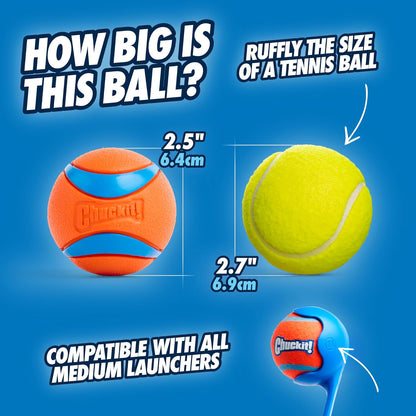 Ultra Ball Dog Toy – Medium 2.5-Inch Fetch Balls for Active Dogs (Pack of 2)