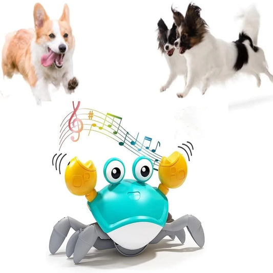 Interactive Dancing Crab Dog Toy – Musical Sound, Moving Pet Toy for Dogs & Cats