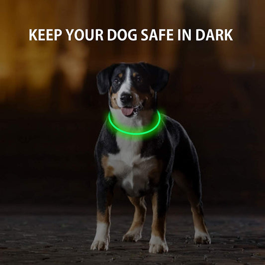 2-Pack LED Dog Collar, Light up Dog Collars,Rechargeable Dog Lights for Night Walking，Universal, Reusable Safety Necklace for Small Medium Large Dogs Green&Blue